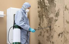 Best Biohazard Mold Removal  in Ashland City, TN